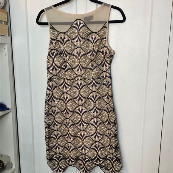 Topshop | Embroidered Lace Dress - Pink Cream Sage Green Blacks - US6 - Mesh upp - Picture 1 of 9